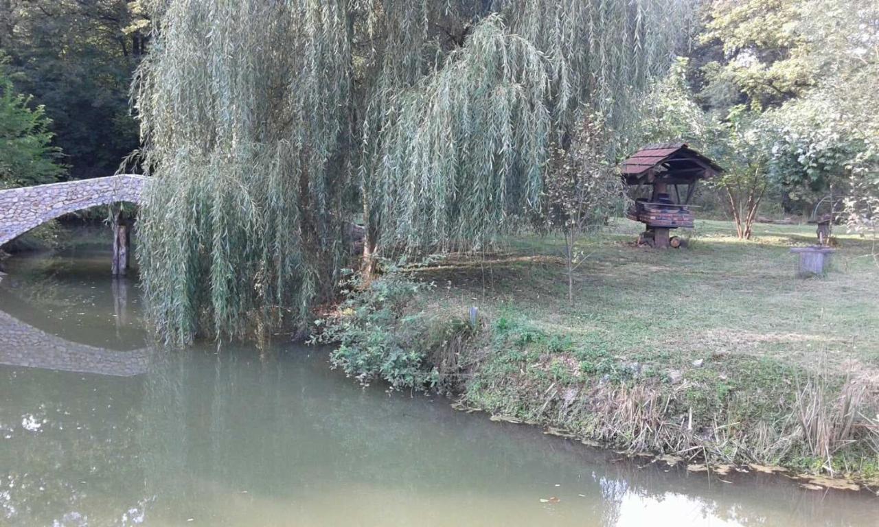 Guest House Mala Prica Zivinice Zewnętrze zdjęcie